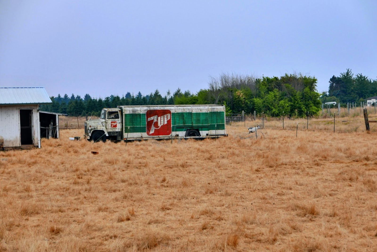 Overcoming the Truck Driver Shortage Today